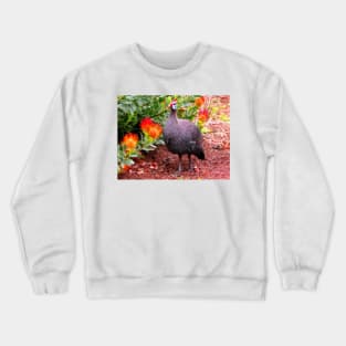 Guineafowl & Protea flowers, Kirstenbosch National Botanical Garden, Cape Town, South Africa Crewneck Sweatshirt